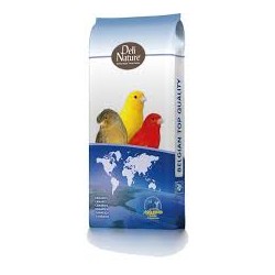 DELI NATURE | דלי נייצ'ר – תערובת כנרי צבע ללא ליפתית קוד 80