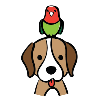 הציפור והכלב